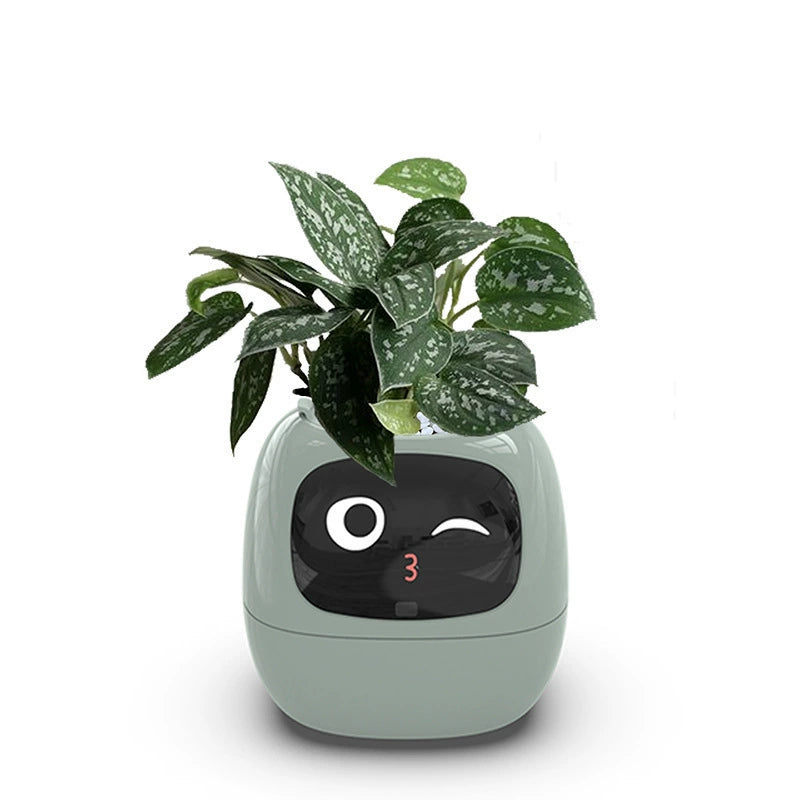 Tech-Enabled Plant Pot