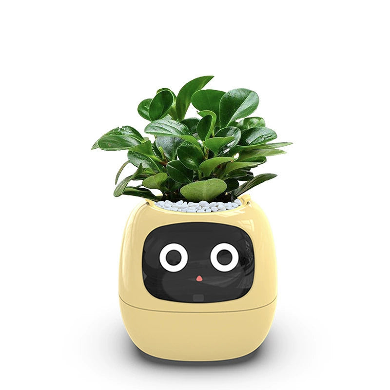 Tech-Enabled Plant Pot