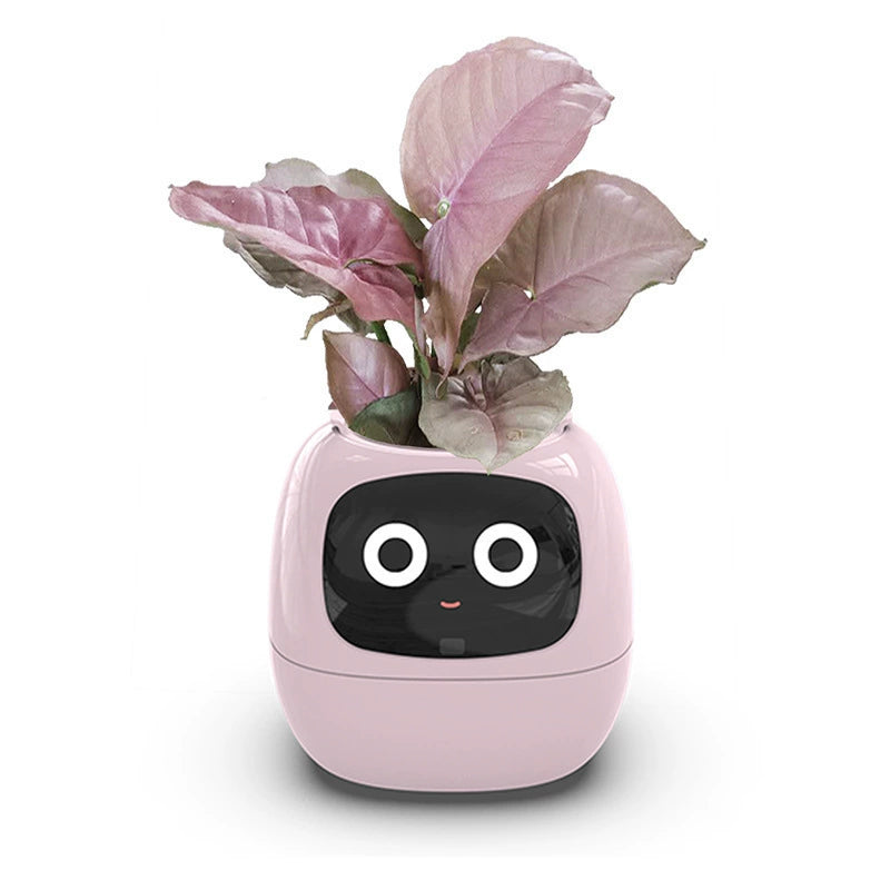 Tech-Enabled Plant Pot