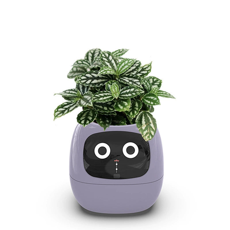 Tech-Enabled Plant Pot