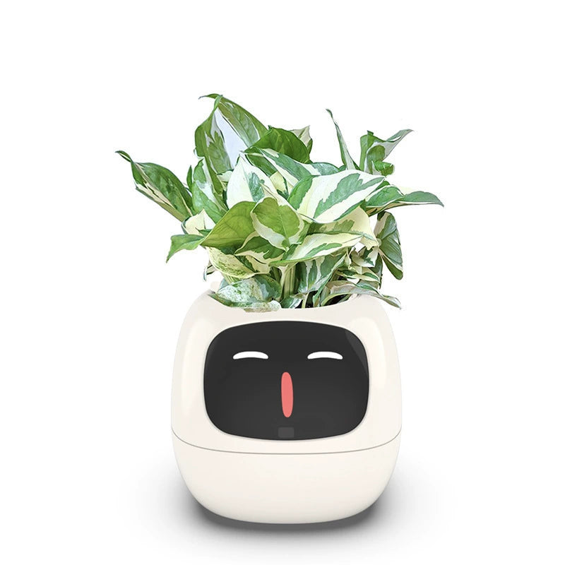 Tech-Enabled Plant Pot